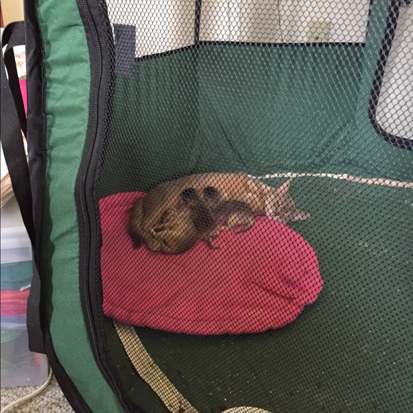 Top - Picture 2 of 2